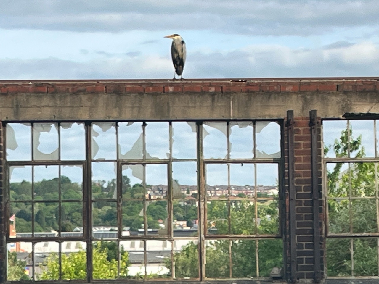 Fwd: David Jammeh &lsquo;Along the canal&rsquo;			
					</div><!-- .entry-content -->
		
		<footer>
		
		
		
					
					</footer><!-- .entry-meta -->
	</article><!-- #post -->
				
											
				
		
<hr class=