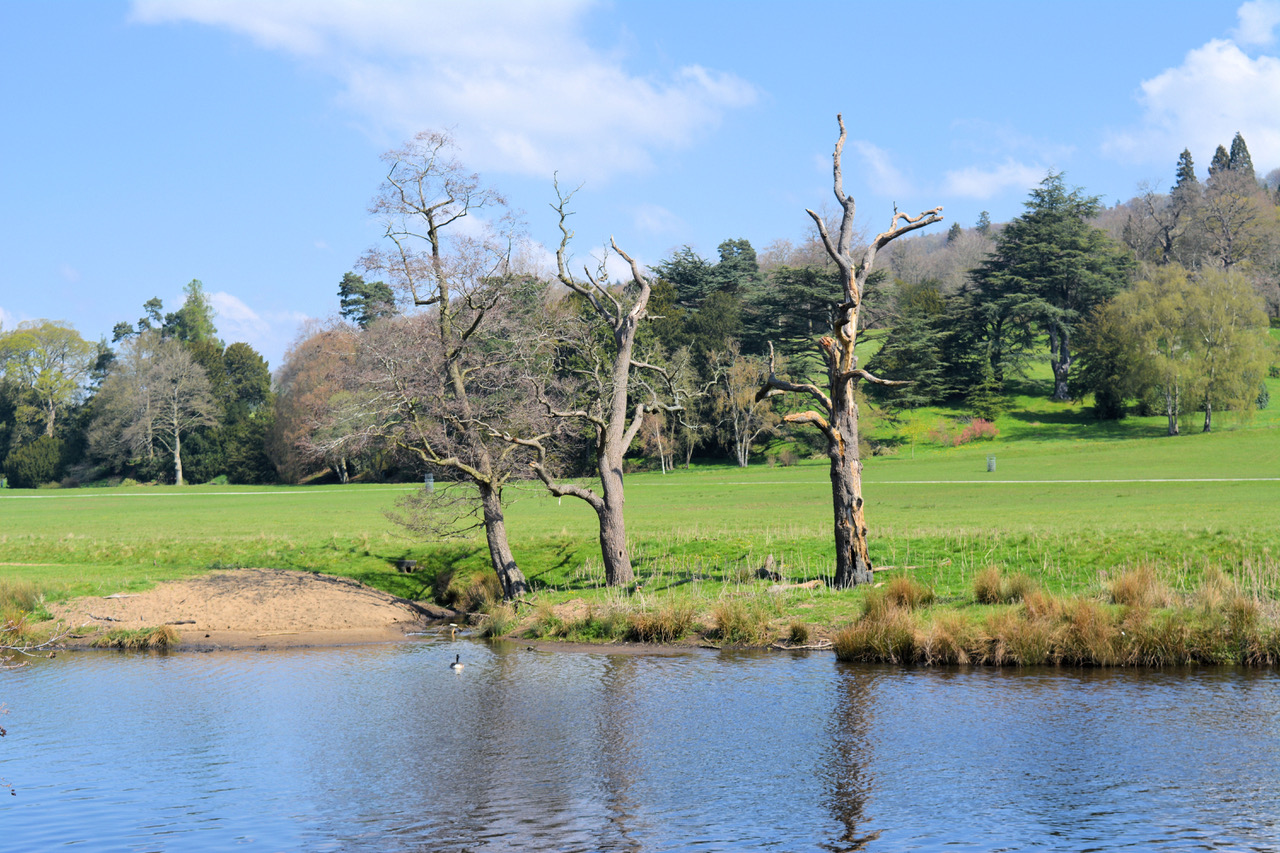 Fwd: Photo			
					</div><!-- .entry-content -->
		
		<footer>
		
		
		
					
					</footer><!-- .entry-meta -->
	</article><!-- #post -->
				
											
				
		
<hr class=