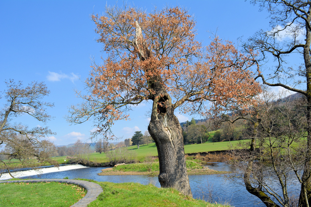 Fwd: Photo			
					</div><!-- .entry-content -->
		
		<footer>
		
		
		
					
					</footer><!-- .entry-meta -->
	</article><!-- #post -->
				
											
				
		
<hr class=