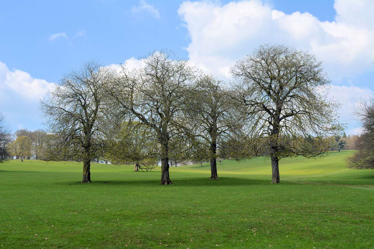 Fwd: Photo			
					</div><!-- .entry-content -->
		
		<footer>
		
		
		
					
					</footer><!-- .entry-meta -->
	</article><!-- #post -->
				
											
				
		
<hr class=