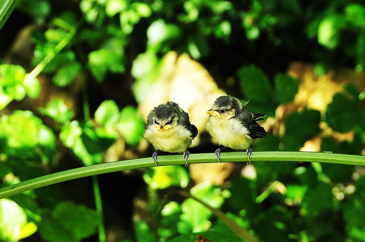 Fwd: Photo			
					</div><!-- .entry-content -->
		
		<footer>
		
		
		
					
					</footer><!-- .entry-meta -->
	</article><!-- #post -->
				
											
				
		
<hr class=