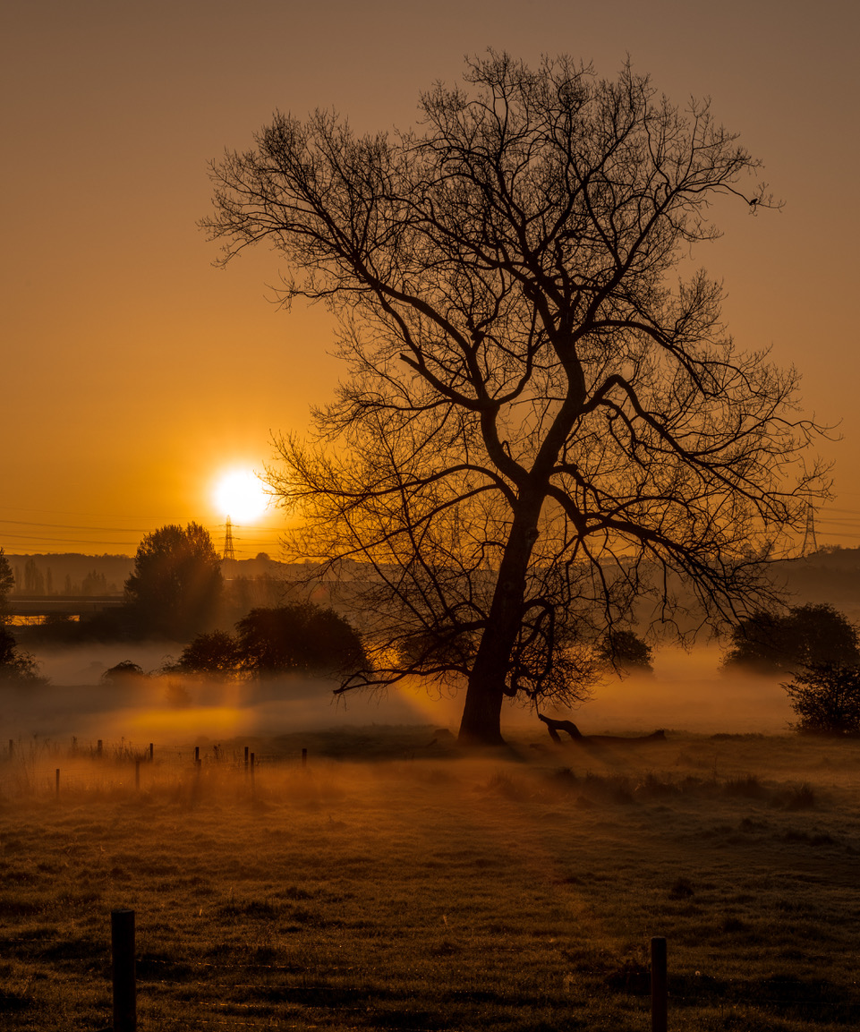 Fwd: Woodhouse Washlands			
					</div><!-- .entry-content -->
		
		<footer>
		
		
		
					
					</footer><!-- .entry-meta -->
	</article><!-- #post -->
				
											
				
		
<hr class=