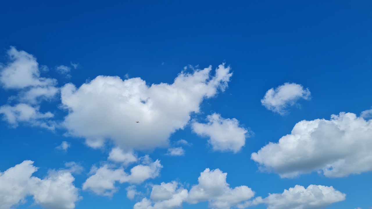 Fwd: Greg Howarth Bi plane Slade Hooton			
					</div><!-- .entry-content -->
		
		<footer>
		
		
		
					
					</footer><!-- .entry-meta -->
	</article><!-- #post -->
				
											
				
		
<hr class=