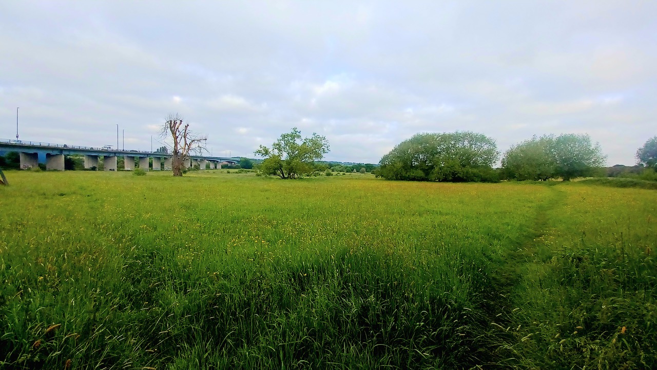 Fwd: By M Winter- Woodhouse Washlands.			
					</div><!-- .entry-content -->
		
		<footer>
		
		
		
					
					</footer><!-- .entry-meta -->
	</article><!-- #post -->
				
											
				
		
<hr class=