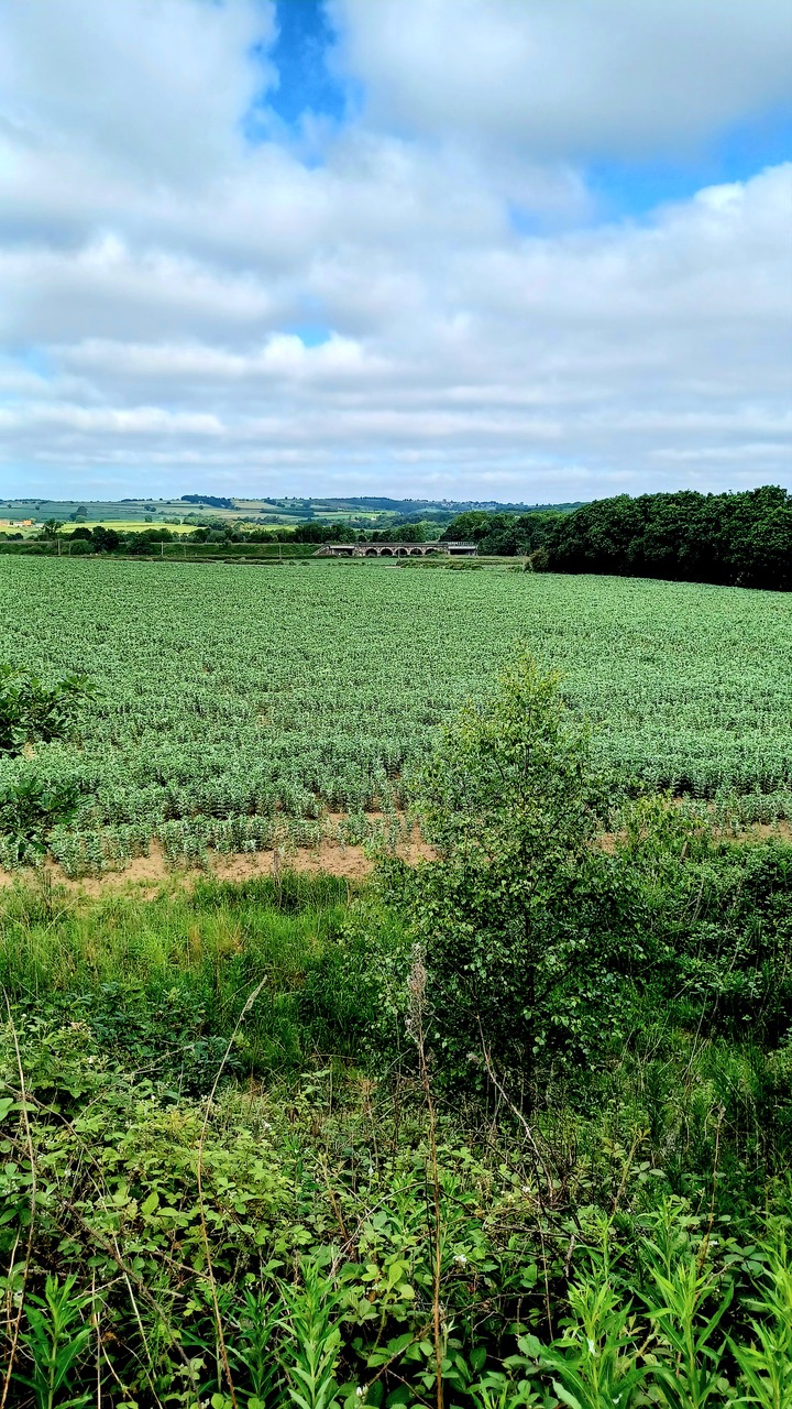 Fwd: By M Winter- Staveley Lane Bridge.			
					</div><!-- .entry-content -->
		
		<footer>
		
		
		
					
					</footer><!-- .entry-meta -->
	</article><!-- #post -->
				
											
				
		
<hr class=