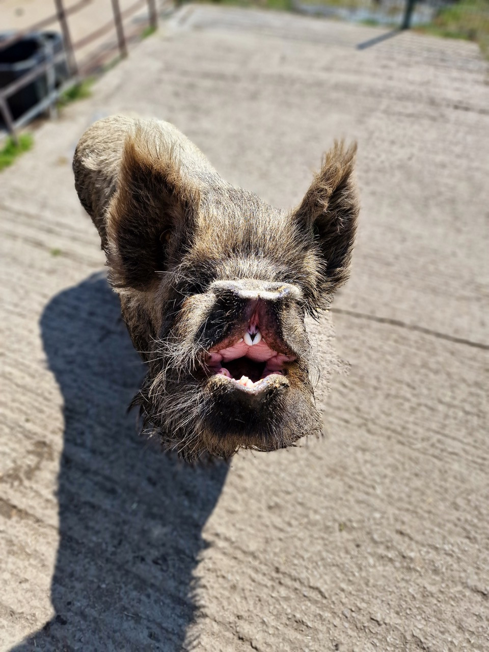 Fwd:			
					</div><!-- .entry-content -->
		
		<footer>
		
		
		
					
					</footer><!-- .entry-meta -->
	</article><!-- #post -->
				
											
				
		
<hr class=