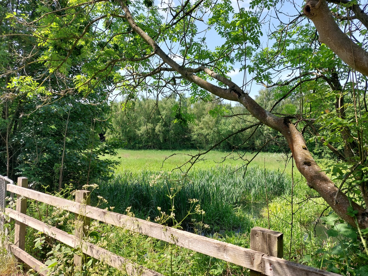 Fwd: Gullface London			
					</div><!-- .entry-content -->
		
		<footer>
		
		
		
					
					</footer><!-- .entry-meta -->
	</article><!-- #post -->
				
											
				
		
<hr class=