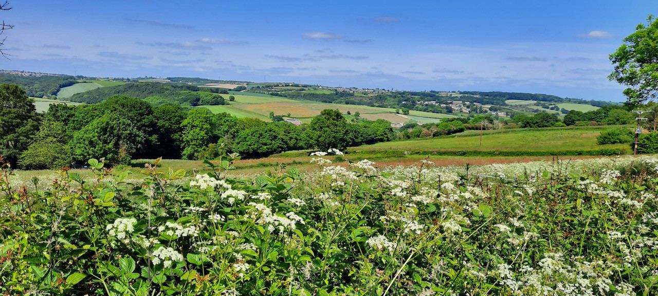 Fwd: Photo by GWilliams troway			
					</div><!-- .entry-content -->
		
		<footer>
		
		
		
					
					</footer><!-- .entry-meta -->
	</article><!-- #post -->
				
											
				
		
<hr class=