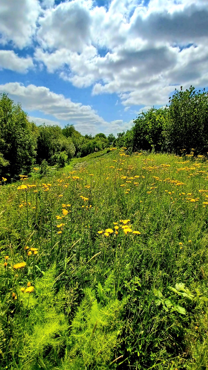 Fwd: By M Winter- Centenary Riverside			
					</div><!-- .entry-content -->
		
		<footer>
		
		
		
					
					</footer><!-- .entry-meta -->
	</article><!-- #post -->
				
											
				
		
<hr class=