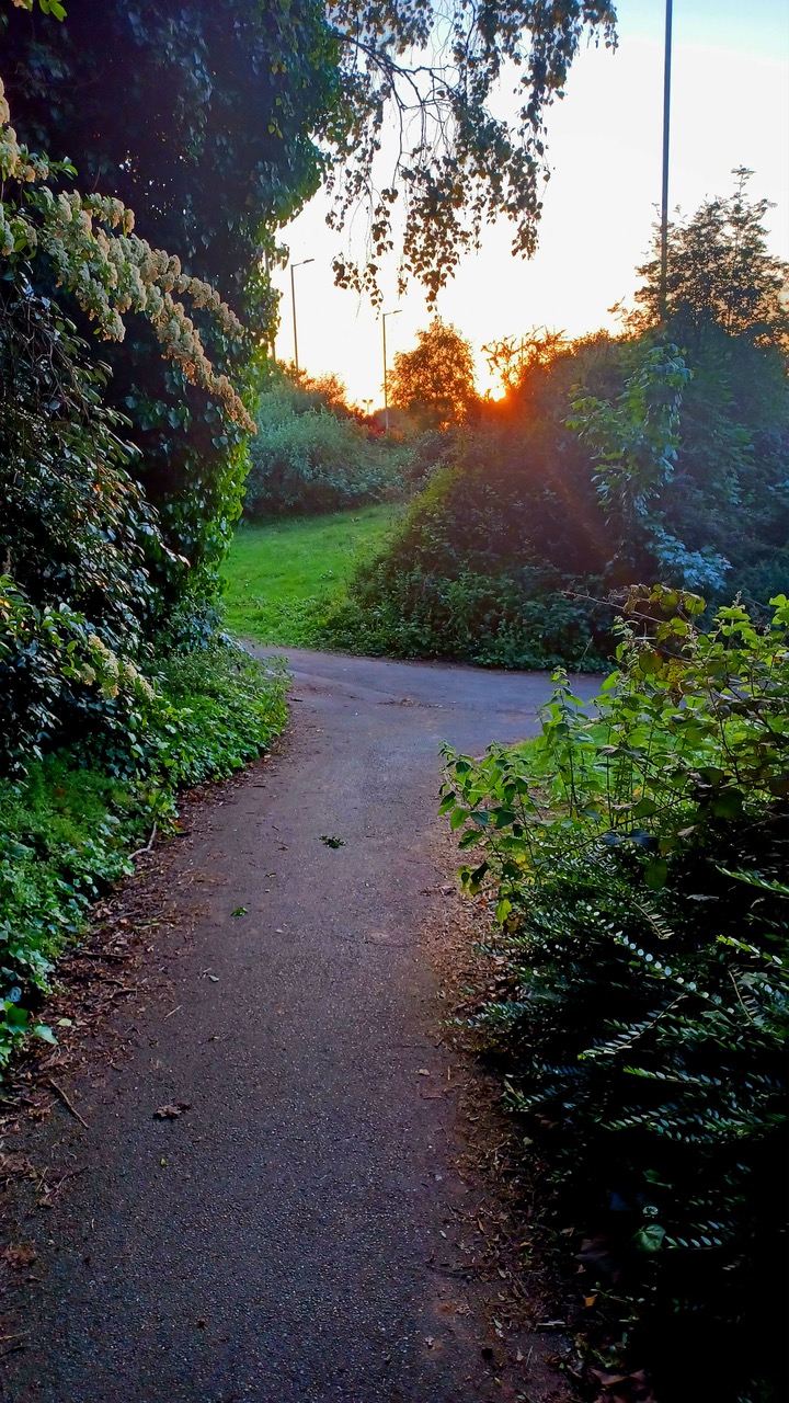 Fwd: By Markimus Maximus- Iccles roundabout sunset.			
					</div><!-- .entry-content -->
		
		<footer>
		
		
		
					
					</footer><!-- .entry-meta -->
	</article><!-- #post -->
				
											
				
		
<hr class=