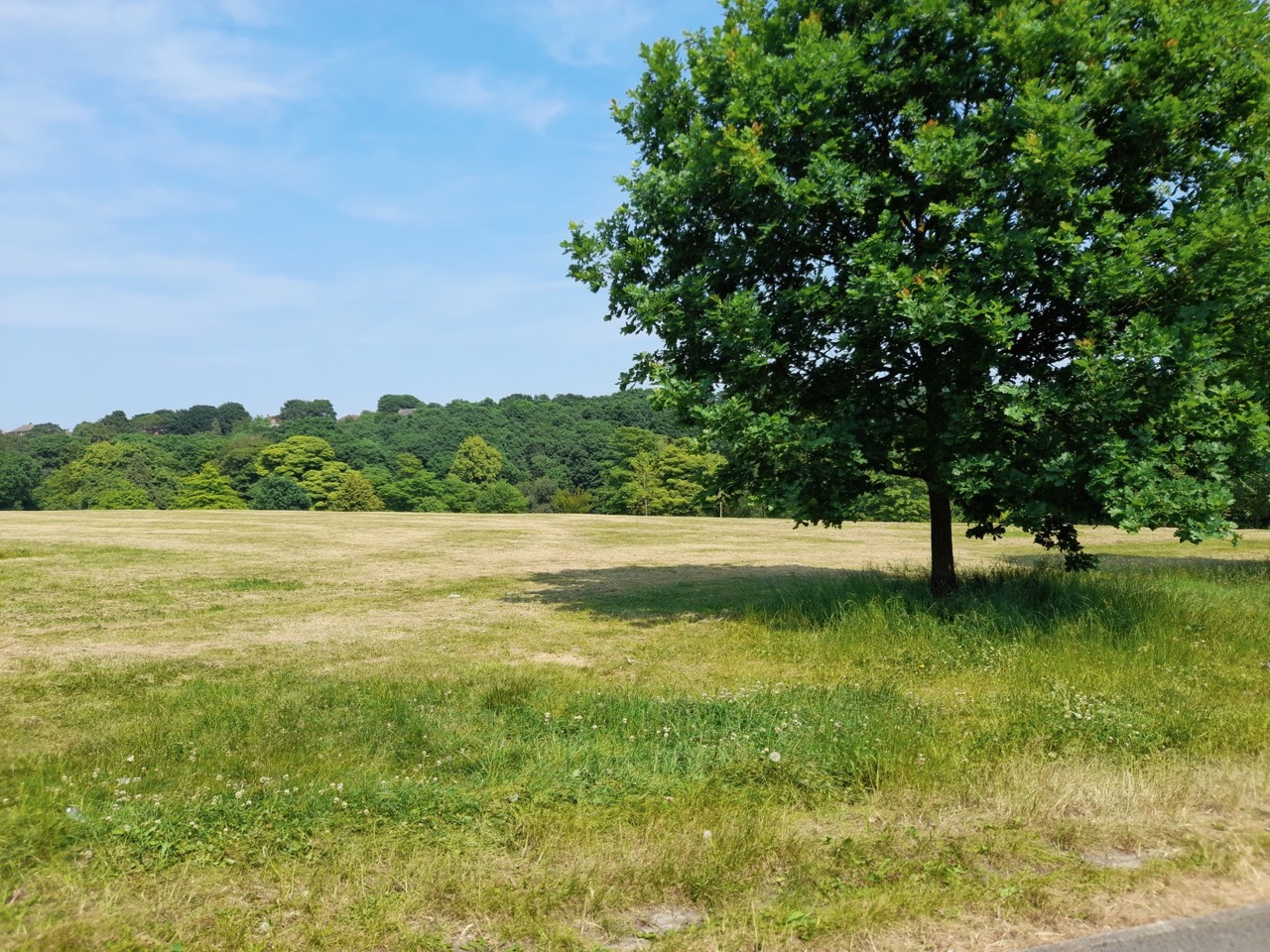 Fwd:			
					</div><!-- .entry-content -->
		
		<footer>
		
		
		
					
					</footer><!-- .entry-meta -->
	</article><!-- #post -->
				
											
				
		
<hr class=