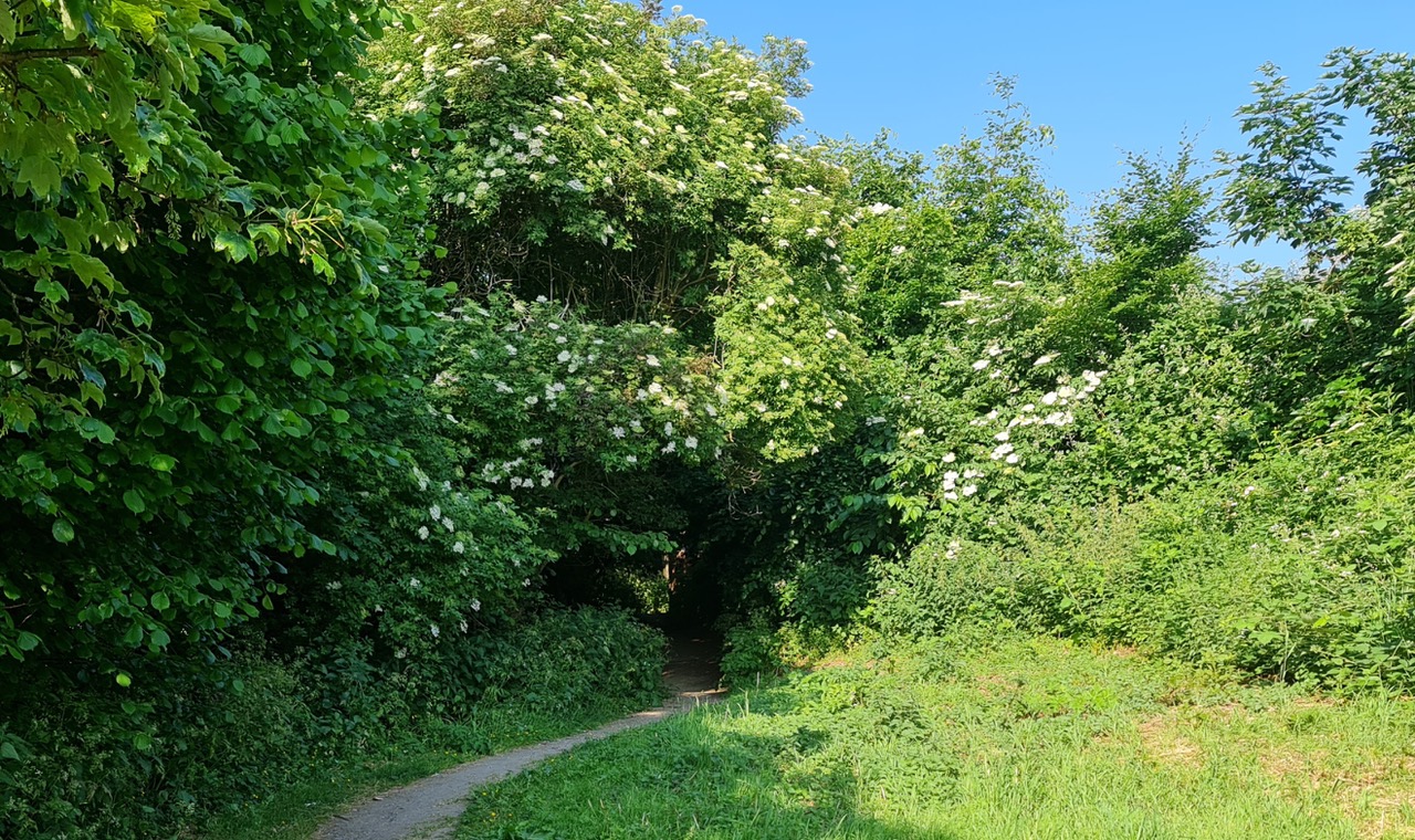 Fwd: Photograph by K Johnson			
					</div><!-- .entry-content -->
		
		<footer>
		
		
		
					
					</footer><!-- .entry-meta -->
	</article><!-- #post -->
				
											
				
		
<hr class=