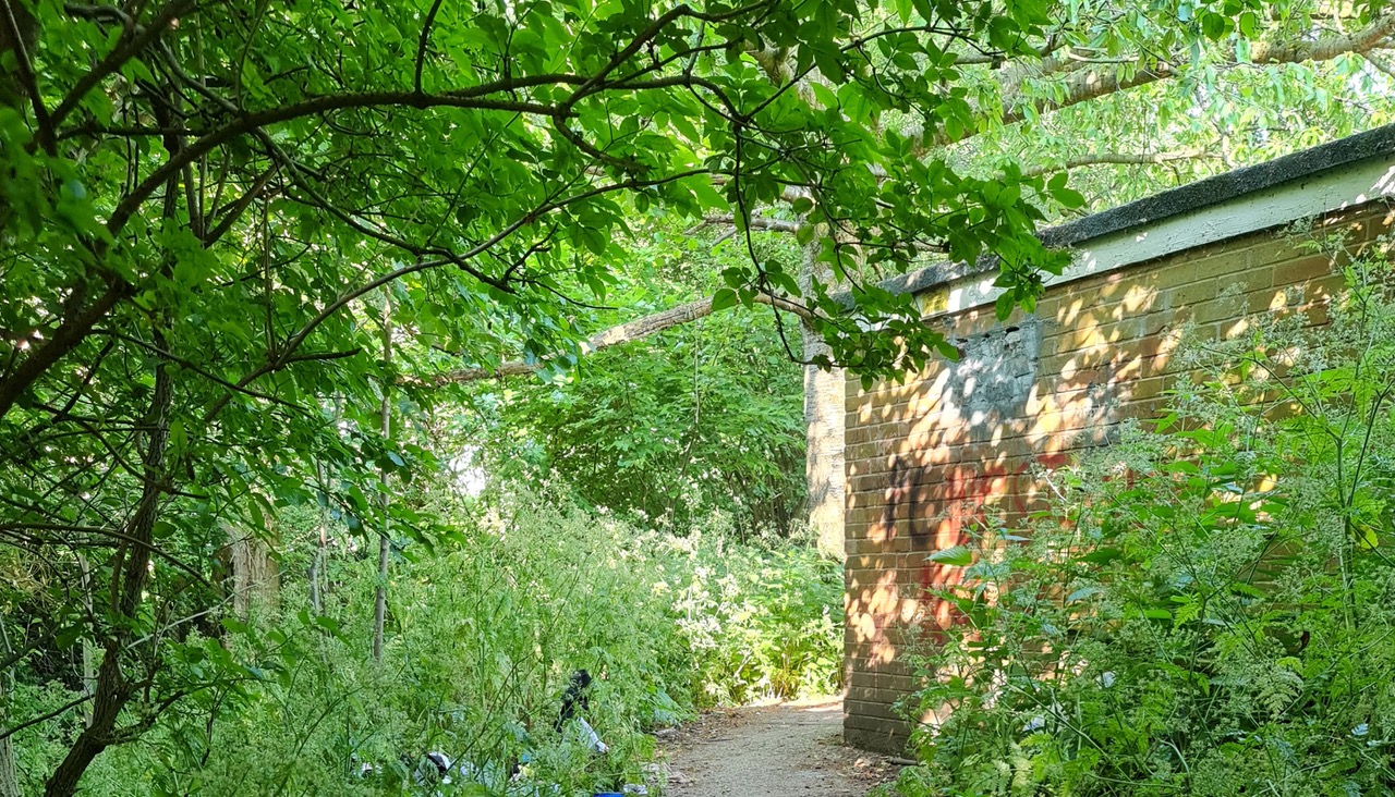 Fwd: Photograph by K Johnson trans pennine trail.			
					</div><!-- .entry-content -->
		
		<footer>
		
		
		
					
					</footer><!-- .entry-meta -->
	</article><!-- #post -->
				
											
				
		
<hr class=