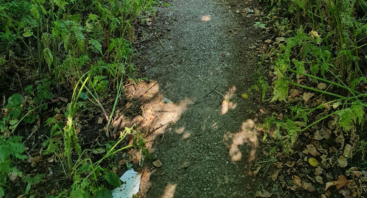 Fwd: Photograph by K Johnson			
					</div><!-- .entry-content -->
		
		<footer>
		
		
		
					
					</footer><!-- .entry-meta -->
	</article><!-- #post -->
				
											
				
		
<hr class=