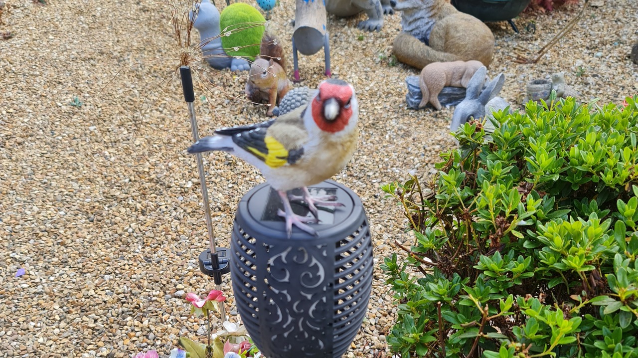 Fwd: Photograph by K Johnson			
					</div><!-- .entry-content -->
		
		<footer>
		
		
		
					
					</footer><!-- .entry-meta -->
	</article><!-- #post -->
				
											
				
		
<hr class=