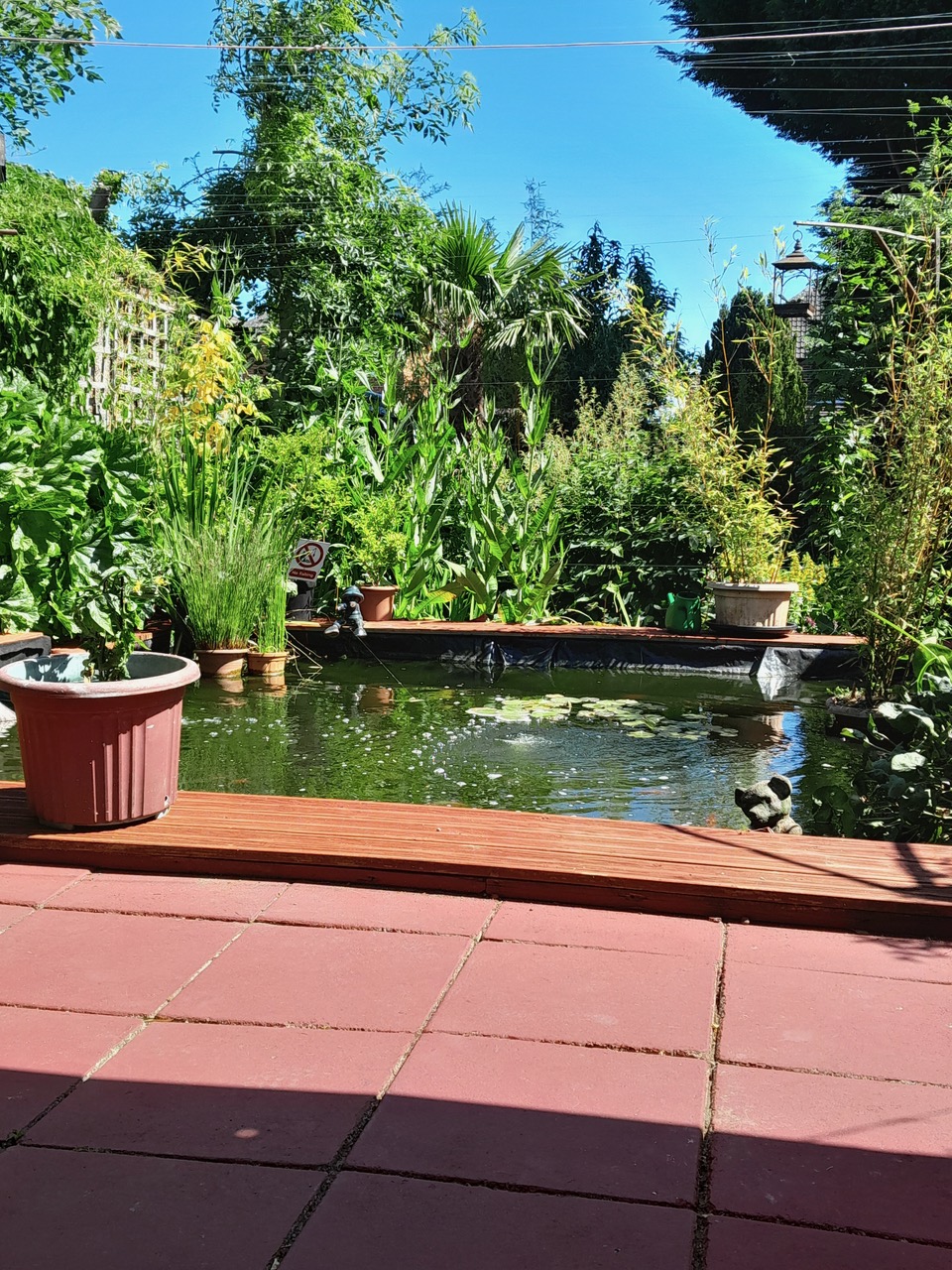 Fwd: [SPAM] Pond			
					</div><!-- .entry-content -->
		
		<footer>
		
		
		
					
					</footer><!-- .entry-meta -->
	</article><!-- #post -->
				
											
				
		
<hr class=