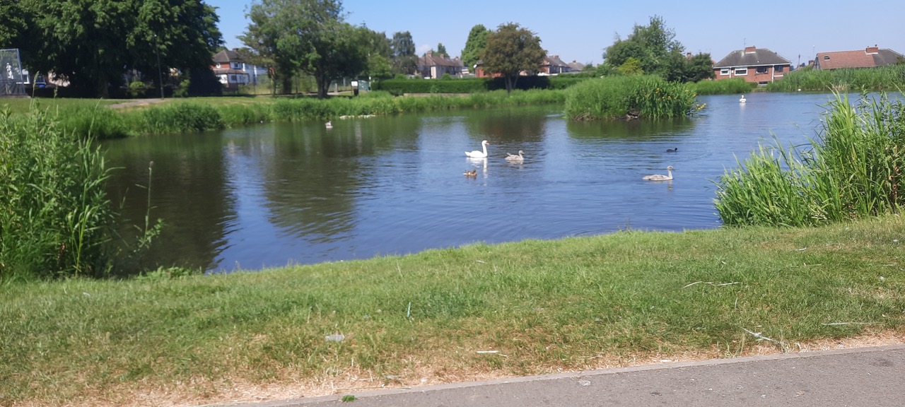 Fwd: Photo by G Williams Freccheville pond			
					</div><!-- .entry-content -->
		
		<footer>
		
		
		
					
					</footer><!-- .entry-meta -->
	</article><!-- #post -->
				
											
				
		
<hr class=