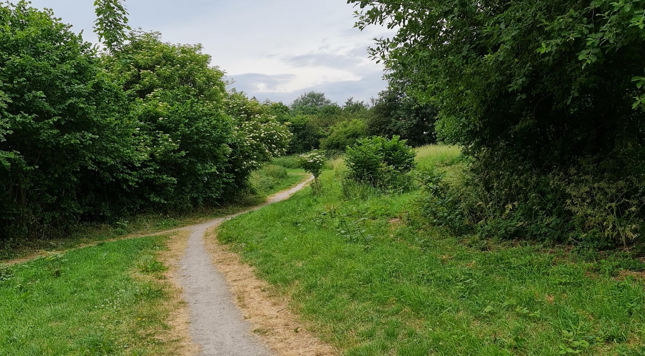 Fwd: Photograph by K Johnson Trans pennine Trail.			
					</div><!-- .entry-content -->
		
		<footer>
		
		
		
					
					</footer><!-- .entry-meta -->
	</article><!-- #post -->
				
											
				
		
<hr class=