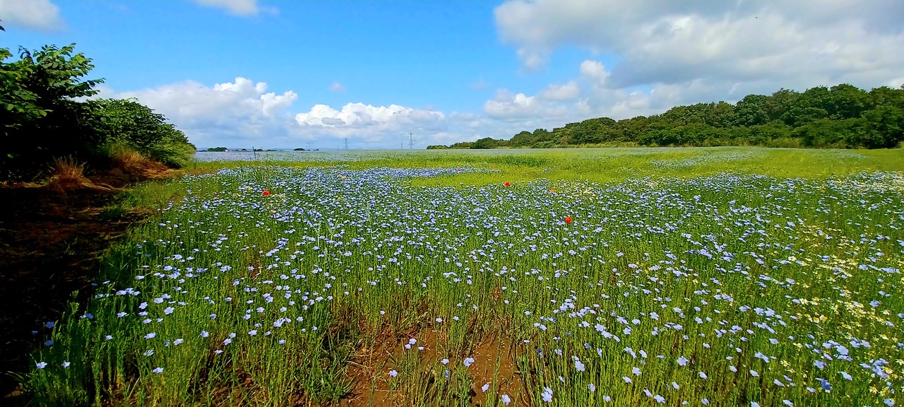 Fwd: By Markius Maximus- Morthen			
					</div><!-- .entry-content -->
		
		<footer>
		
		
		
					
					</footer><!-- .entry-meta -->
	</article><!-- #post -->
				
											
				
		
<hr class=