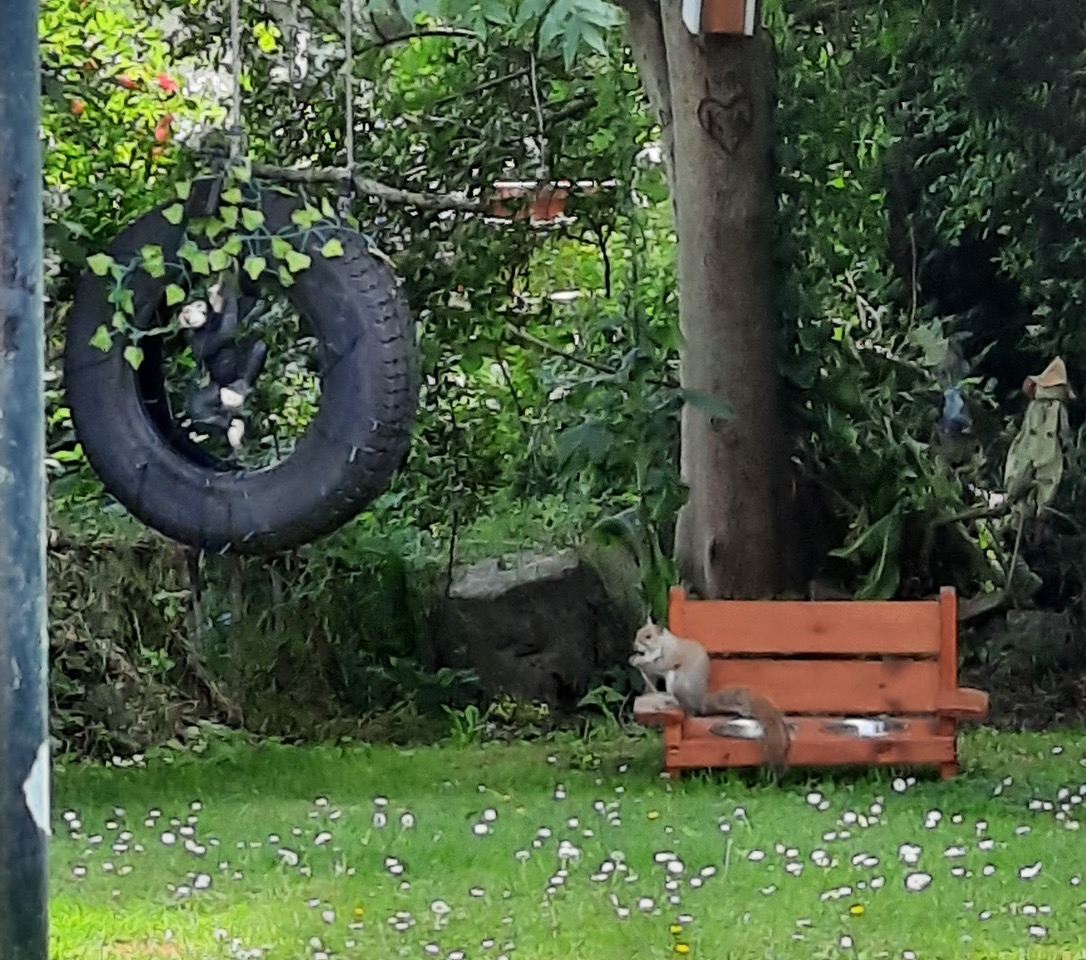 Fwd: Monkey sharing peanuts by Diana lees			
					</div><!-- .entry-content -->
		
		<footer>
		
		
		
					
					</footer><!-- .entry-meta -->
	</article><!-- #post -->
				
											
				
		
<hr class=