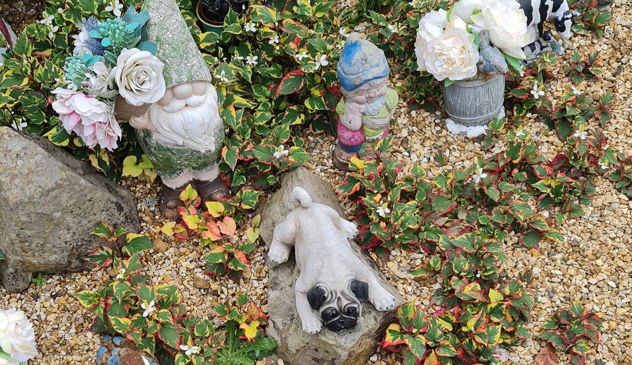 Fwd: Photograph by K Johnson			
					</div><!-- .entry-content -->
		
		<footer>
		
		
		
					
					</footer><!-- .entry-meta -->
	</article><!-- #post -->
				
											
				
		
<hr class=