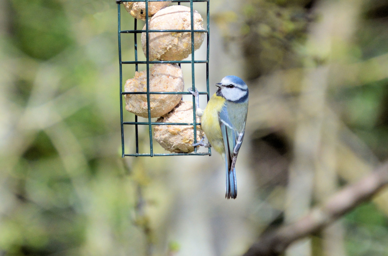 Fwd: Photo			
					</div><!-- .entry-content -->
		
		<footer>
		
		
		
					
					</footer><!-- .entry-meta -->
	</article><!-- #post -->
				
											
				
		
<hr class=