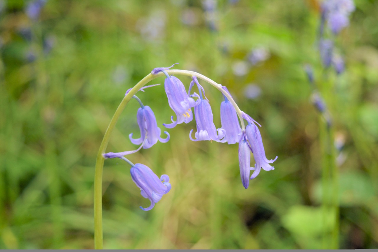 Fwd: Photo			
					</div><!-- .entry-content -->
		
		<footer>
		
		
		
					
					</footer><!-- .entry-meta -->
	</article><!-- #post -->
				
											
				
		
<hr class=