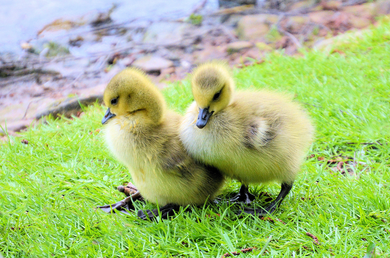 Fwd: Photo			
					</div><!-- .entry-content -->
		
		<footer>
		
		
		
					
					</footer><!-- .entry-meta -->
	</article><!-- #post -->
				
											
				
		
<hr class=