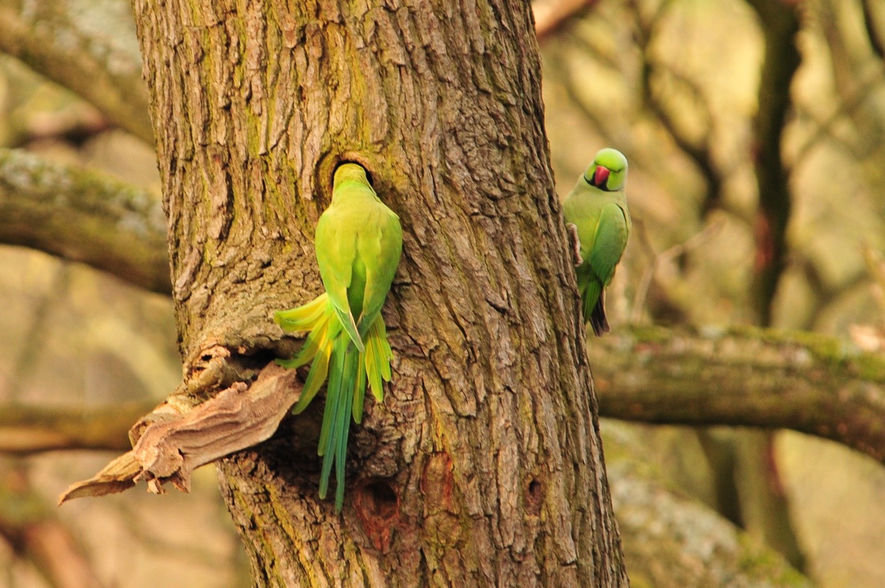 Fwd: Roland Geordie at Parson Cross			
					</div><!-- .entry-content -->
		
		<footer>
		
		
		
					
					</footer><!-- .entry-meta -->
	</article><!-- #post -->
				
											
				
		
<hr class=