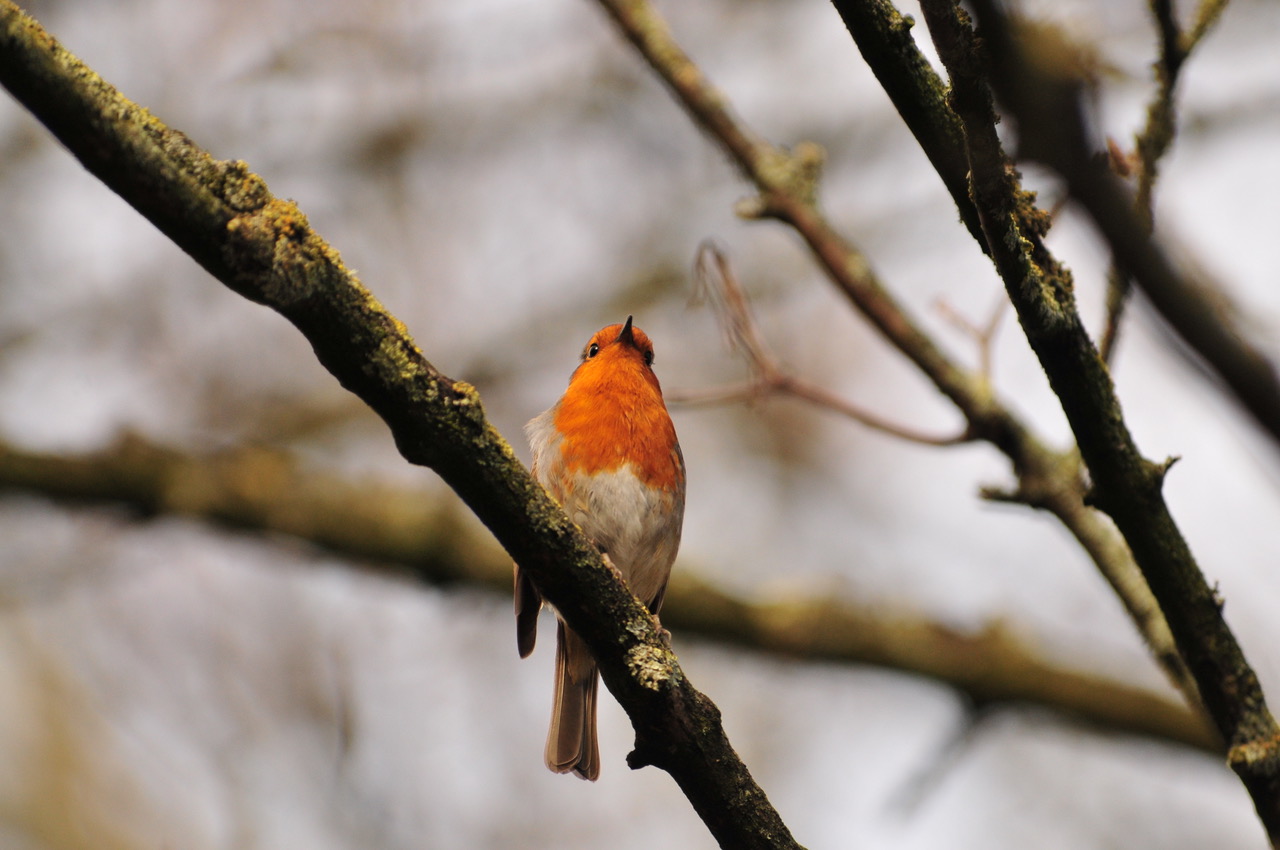 Fwd: Roland Geordie Parson Cross			
					</div><!-- .entry-content -->
		
		<footer>
		
		
		
					
					</footer><!-- .entry-meta -->
	</article><!-- #post -->
				
											
				
		
<hr class=