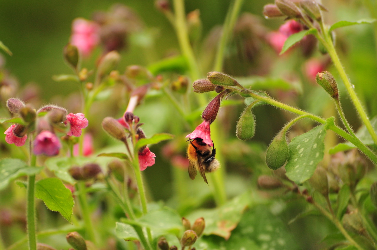 Fwd: Roland Geordie at Parson Cross			
					</div><!-- .entry-content -->
		
		<footer>
		
		
		
					
					</footer><!-- .entry-meta -->
	</article><!-- #post -->
				
											
				
		
<hr class=
