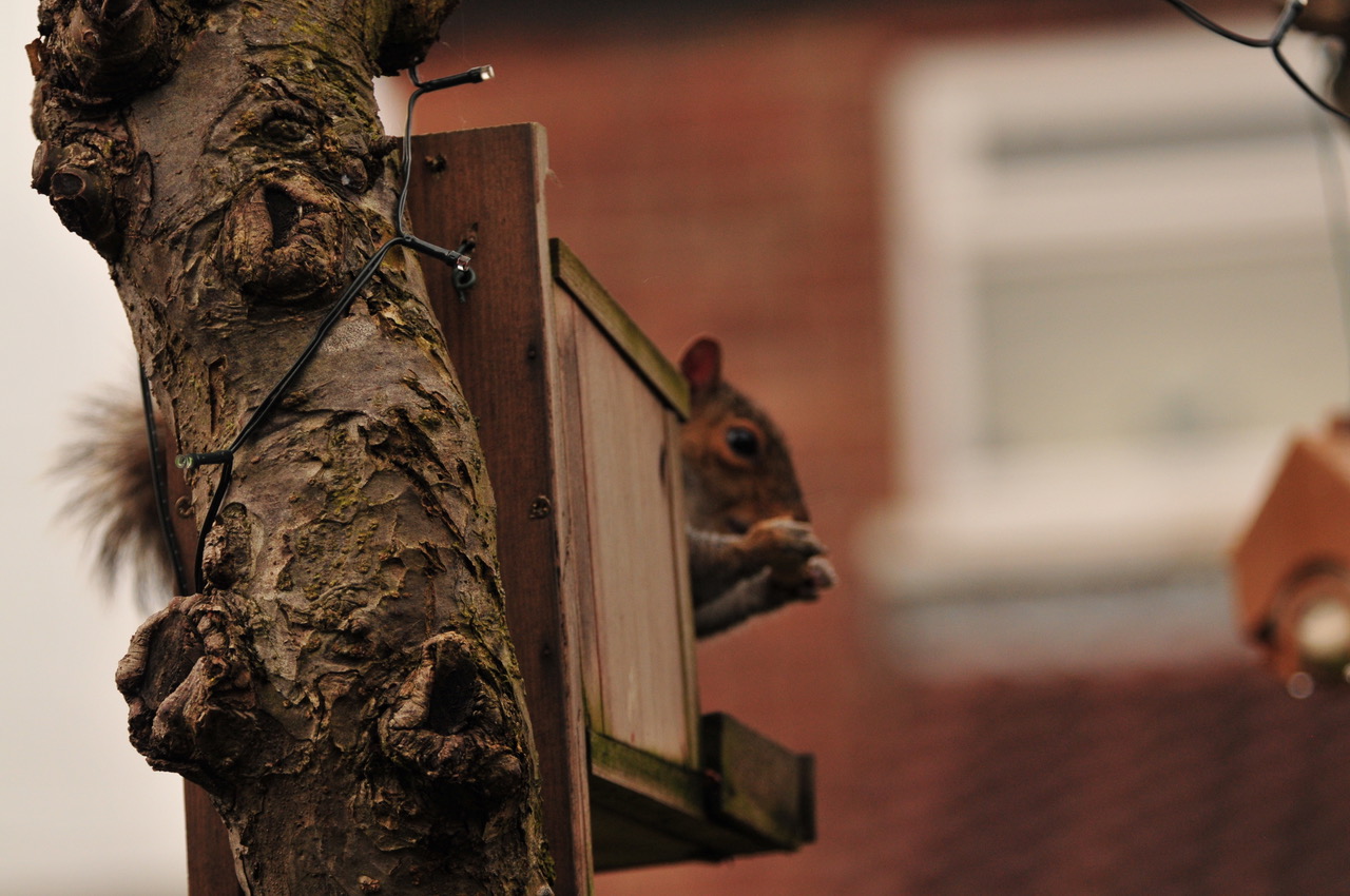 Fwd: Roland Geordie at Parson Cross			
					</div><!-- .entry-content -->
		
		<footer>
		
		
		
					
					</footer><!-- .entry-meta -->
	</article><!-- #post -->
				
											
				
		
<hr class=