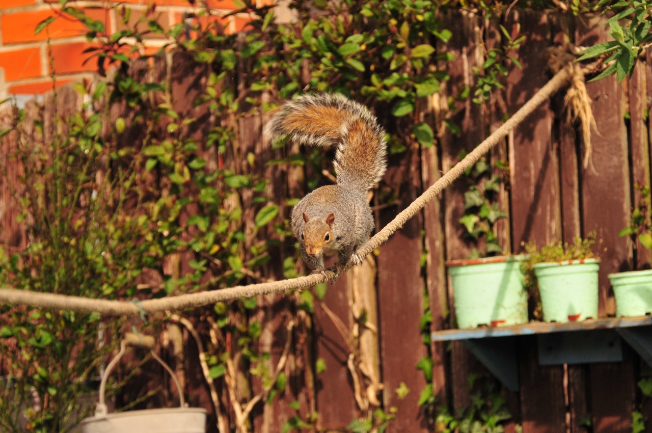 Fwd: Roland Geordie at Parson Cross			
					</div><!-- .entry-content -->
		
		<footer>
		
		
		
					
					</footer><!-- .entry-meta -->
	</article><!-- #post -->
				
											
				
		
<hr class=