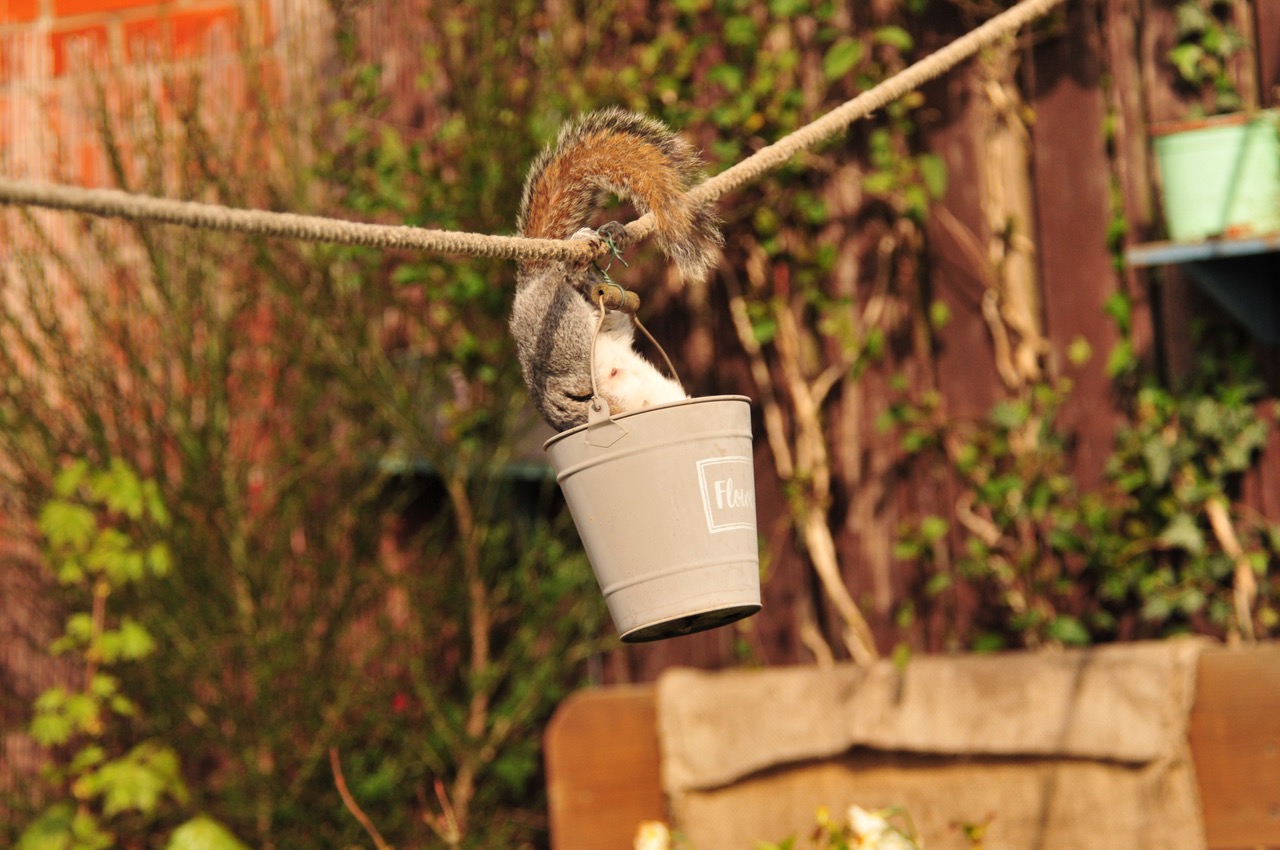 Fwd: Roland Geordie at Parson Cross			
					</div><!-- .entry-content -->
		
		<footer>
		
		
		
					
					</footer><!-- .entry-meta -->
	</article><!-- #post -->
				
											
				
		
<hr class=