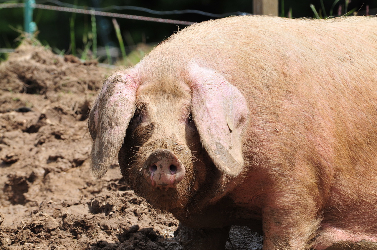 Fwd: Roland Geordie at Parson Cross			
					</div><!-- .entry-content -->
		
		<footer>
		
		
		
					
					</footer><!-- .entry-meta -->
	</article><!-- #post -->
				
											
				
		
<hr class=