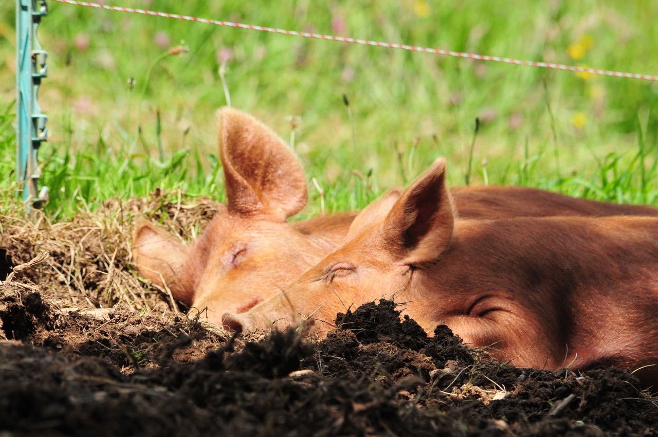 Fwd: Roland Geordie at Parson Cross			
					</div><!-- .entry-content -->
		
		<footer>
		
		
		
					
					</footer><!-- .entry-meta -->
	</article><!-- #post -->
				
											
				
		
<hr class=