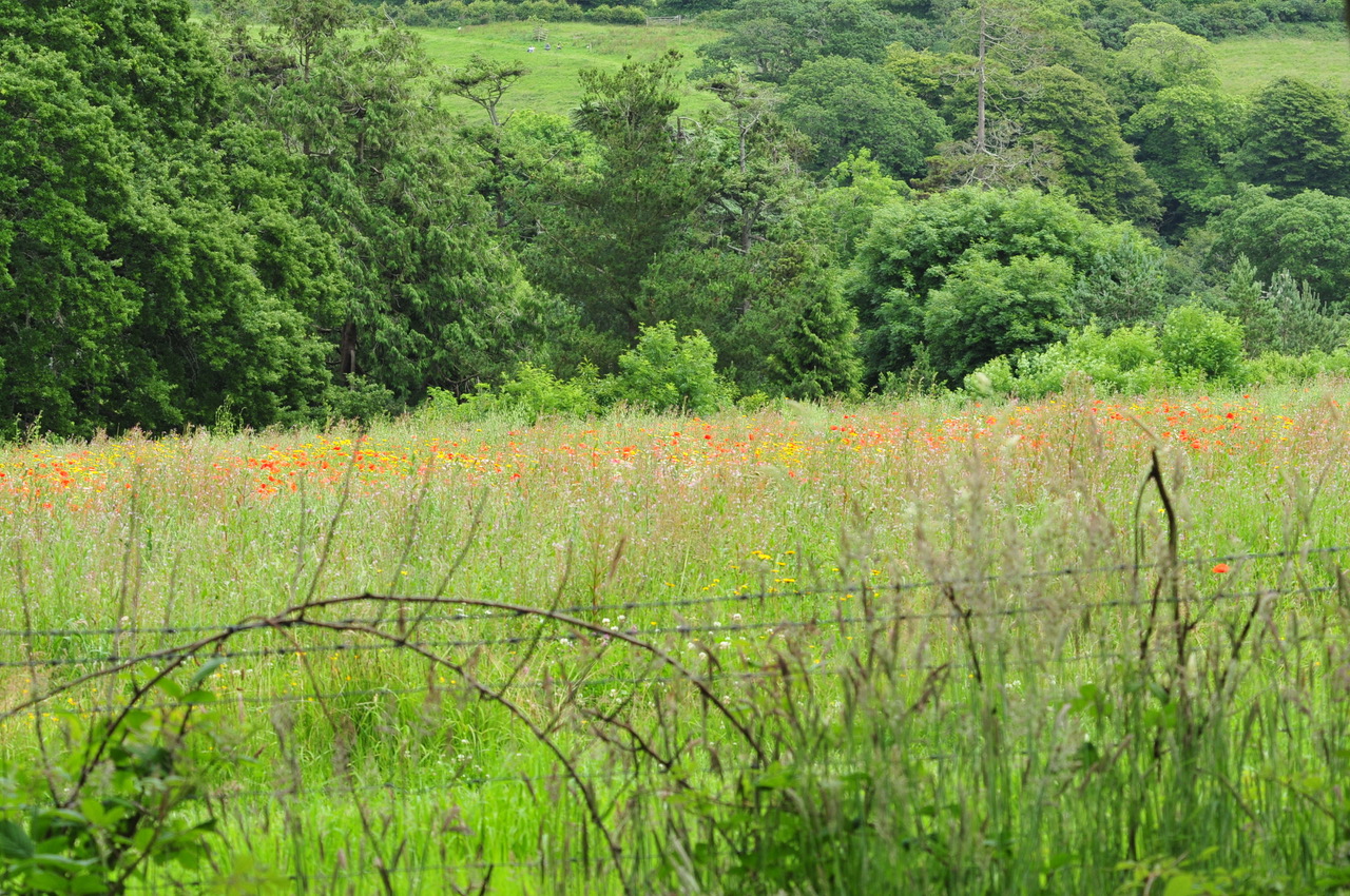 Fwd: Roland Geordie at Parson Cross			
					</div><!-- .entry-content -->
		
		<footer>
		
		
		
					
					</footer><!-- .entry-meta -->
	</article><!-- #post -->
				
											
				
		
<hr class=