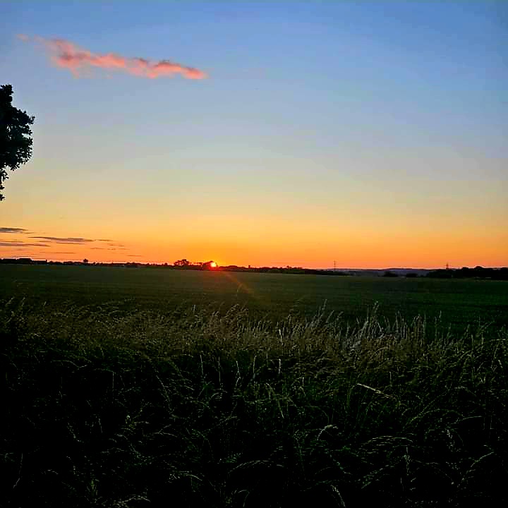 Fwd: By Simon Rudkin- Sunrise at Bassingthorpe Farm, Greasbrough.			
					</div><!-- .entry-content -->
		
		<footer>
		
		
		
					
					</footer><!-- .entry-meta -->
	</article><!-- #post -->
				
											
				
		
<hr class=
