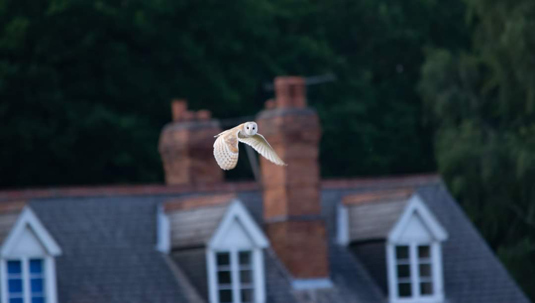 Fwd: Photo by jules clumber			
					</div><!-- .entry-content -->
		
		<footer>
		
		
		
					
					</footer><!-- .entry-meta -->
	</article><!-- #post -->
				
											
				
		
<hr class=