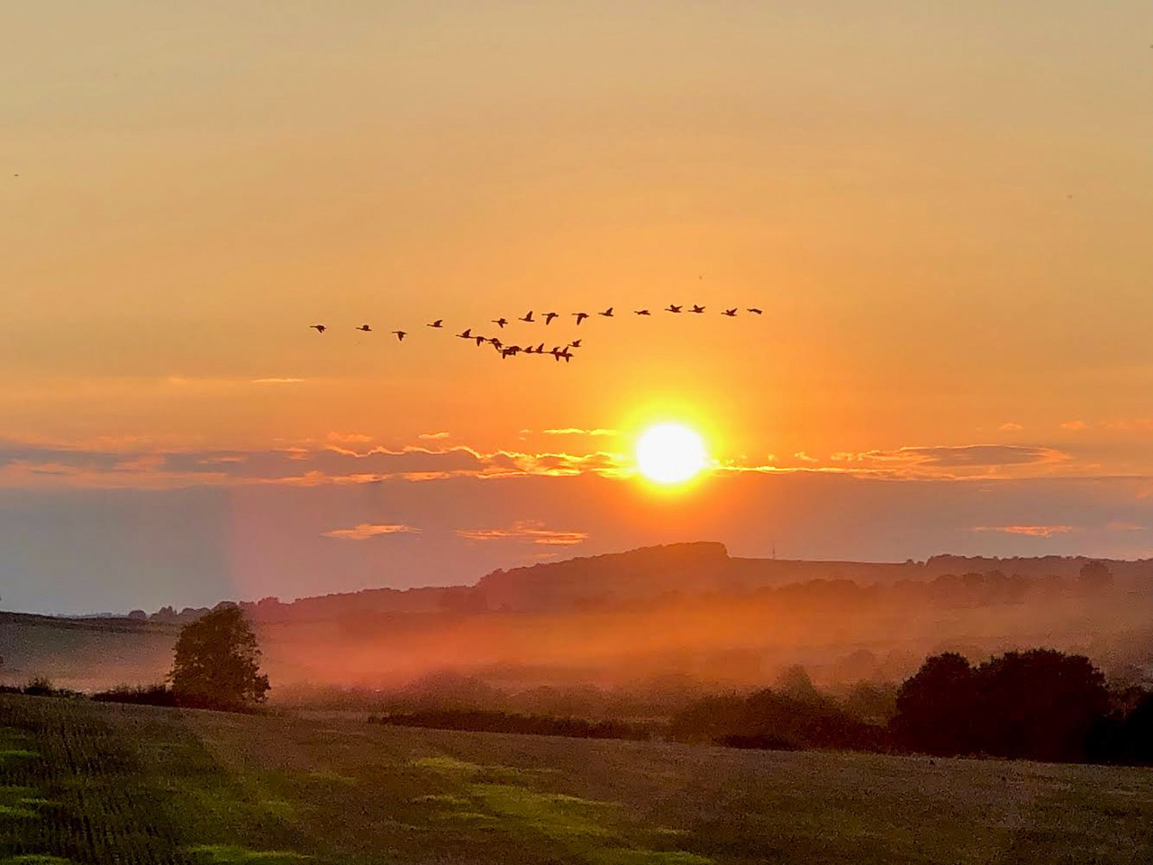 Fwd: Eckington. Keith Bown			
					</div><!-- .entry-content -->
		
		<footer>
		
		
		
					
					</footer><!-- .entry-meta -->
	</article><!-- #post -->
				
											
				
		
<hr class=