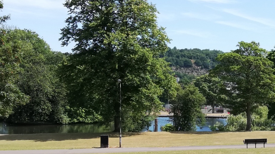 Fwd: Photograph by K Johnson Hillsborough park.			
					</div><!-- .entry-content -->
		
		<footer>
		
		
		
					
					</footer><!-- .entry-meta -->
	</article><!-- #post -->
				
											
				
		
<hr class=