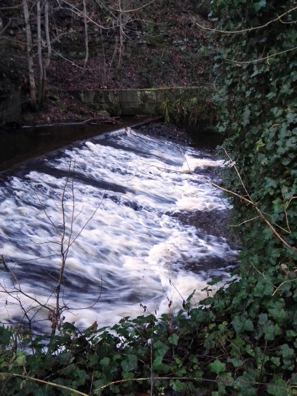 Fwd:			
					</div><!-- .entry-content -->
		
		<footer>
		
		
		
					
					</footer><!-- .entry-meta -->
	</article><!-- #post -->
				
											
				
		
<hr class=