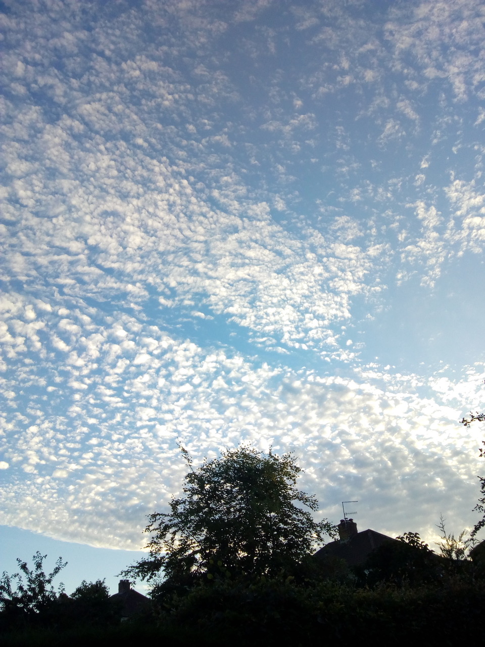 Fwd: Totley sky			
					</div><!-- .entry-content -->
		
		<footer>
		
		
		
					
					</footer><!-- .entry-meta -->
	</article><!-- #post -->
				
											
				
		
<hr class=