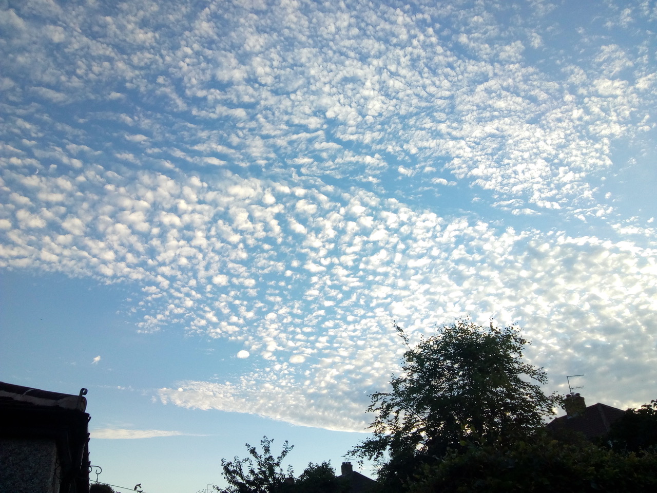 Fwd:			
					</div><!-- .entry-content -->
		
		<footer>
		
		
		
					
					</footer><!-- .entry-meta -->
	</article><!-- #post -->
				
											
				
		
<hr class=