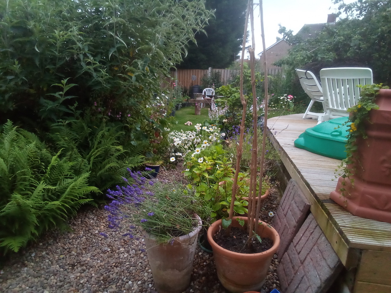 Fwd: Photo of my garden			
					</div><!-- .entry-content -->
		
		<footer>
		
		
		
					
					</footer><!-- .entry-meta -->
	</article><!-- #post -->
				
											
				
		
<hr class=