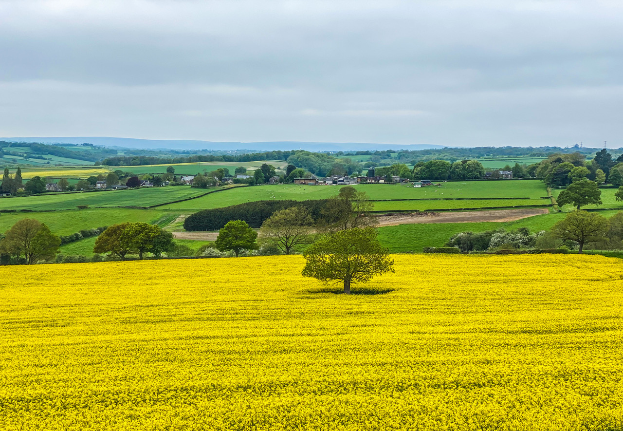 Fwd: Mosborough Sheffield. Keith Bown			
					</div><!-- .entry-content -->
		
		<footer>
		
		
		
					
					</footer><!-- .entry-meta -->
	</article><!-- #post -->
				
											
				
		
<hr class=