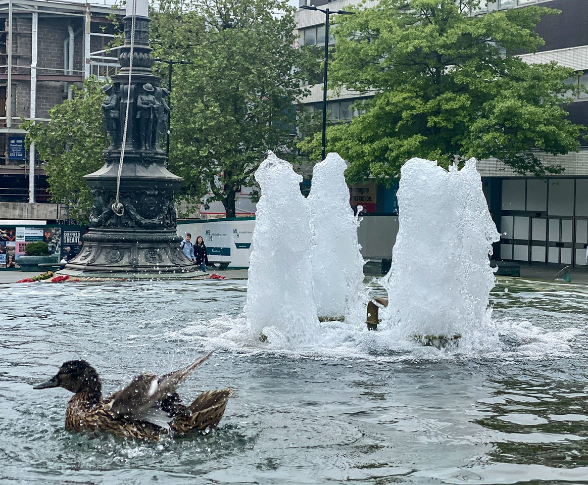 Fwd: Duck Pond Sheffield Centre Keith Bown.			
					</div><!-- .entry-content -->
		
		<footer>
		
		
		
					
					</footer><!-- .entry-meta -->
	</article><!-- #post -->
				
											
				
		
<hr class=
