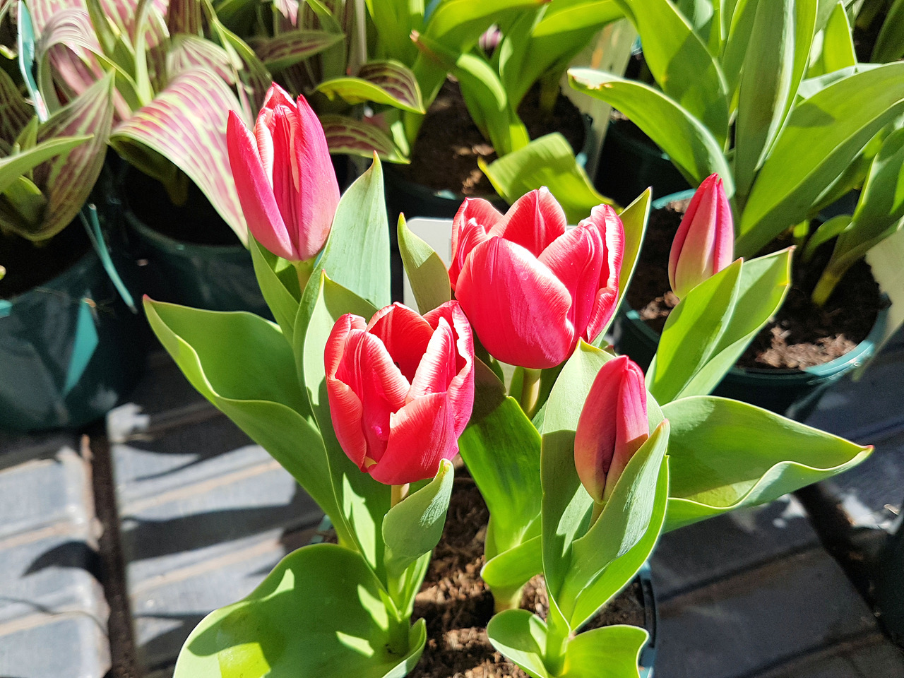 Fwd: Photo			
					</div><!-- .entry-content -->
		
		<footer>
		
		
		
					
					</footer><!-- .entry-meta -->
	</article><!-- #post -->
				
											
				
		
<hr class=