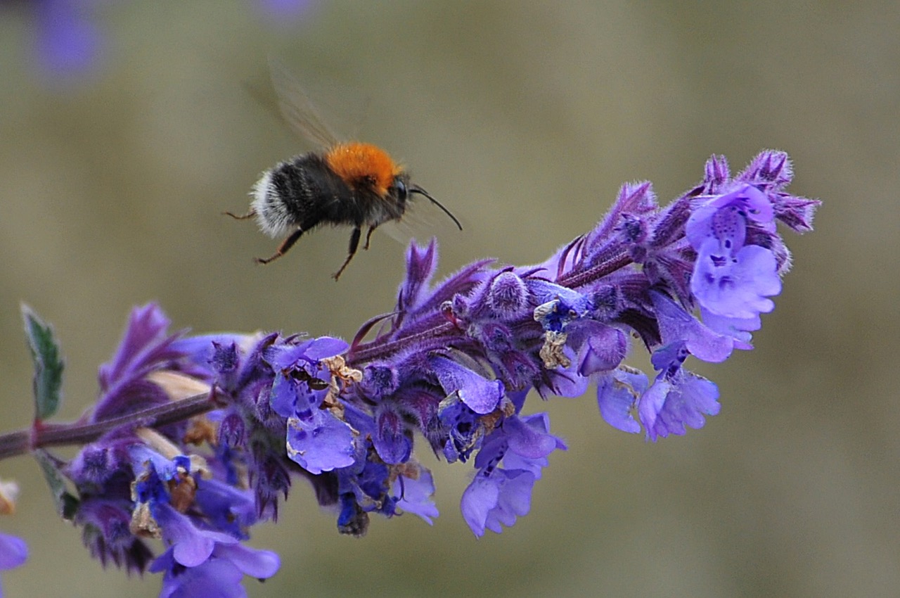 Fwd: Roland Geordie at Parson Cross			
					</div><!-- .entry-content -->
		
		<footer>
		
		
		
					
					</footer><!-- .entry-meta -->
	</article><!-- #post -->
				
											
				
		
<hr class=
