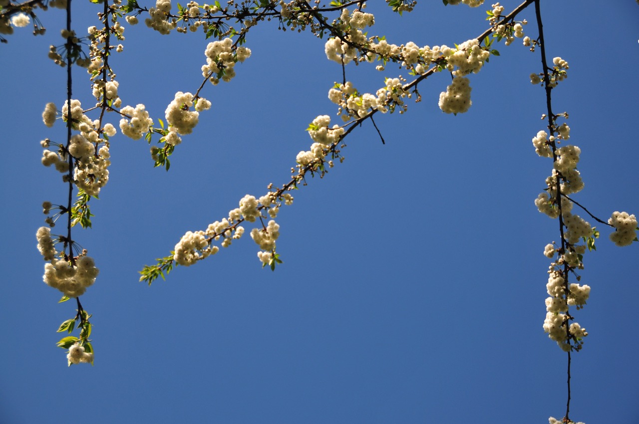 Fwd: Roland Geordie at Parson Cross			
					</div><!-- .entry-content -->
		
		<footer>
		
		
		
					
					</footer><!-- .entry-meta -->
	</article><!-- #post -->
				
											
				
		
<hr class=